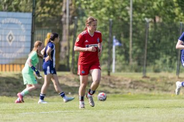 Bild 441 - wBJ Hamburger SV - Hertha BSC : Ergebnis: 5:2